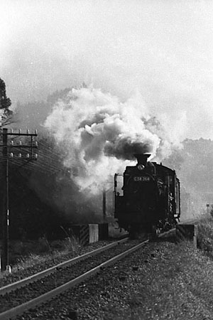 国鉄二俣線蒸気機関車